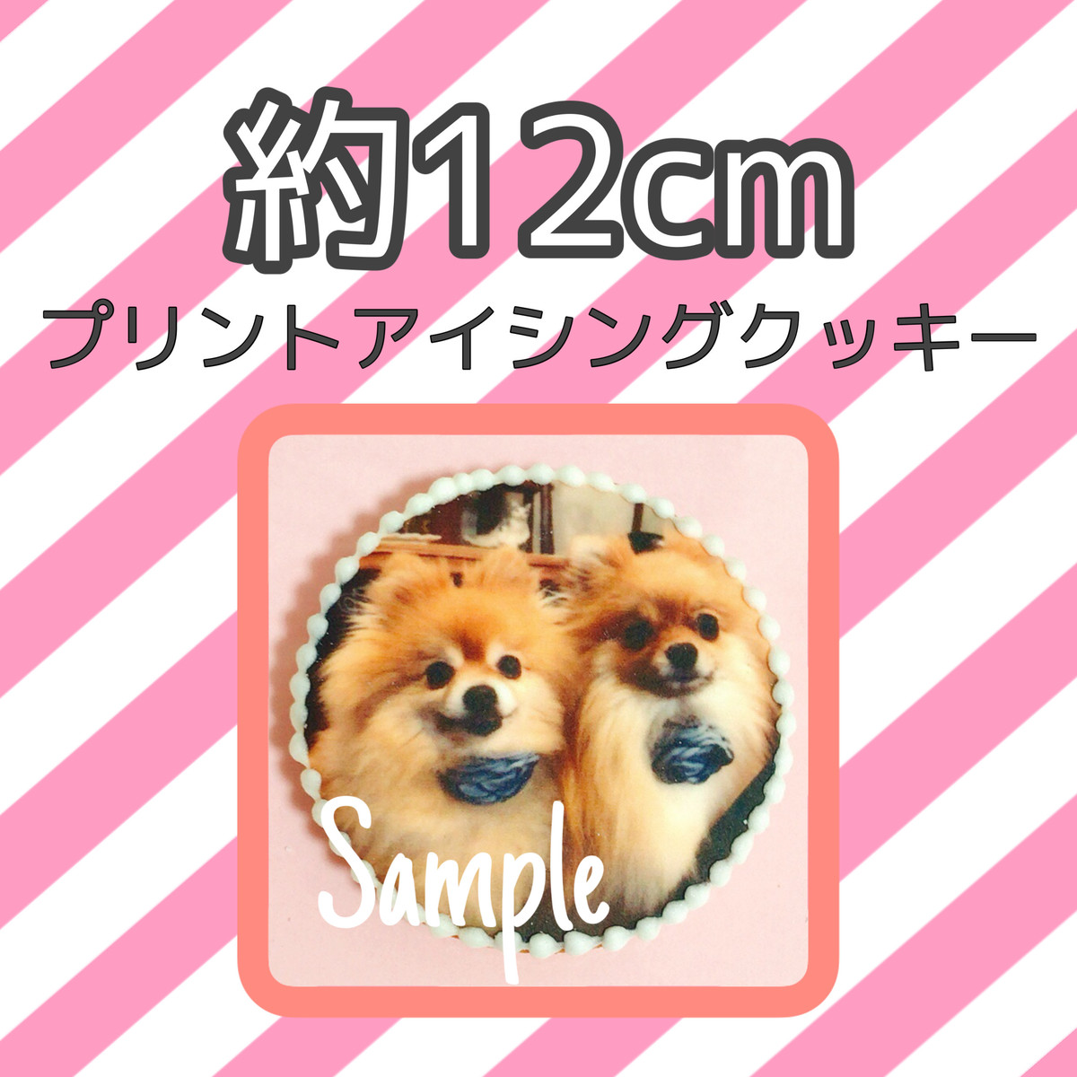 約12cm プリントアイシングクッキー Punipunitail アイシングクッキーショップ