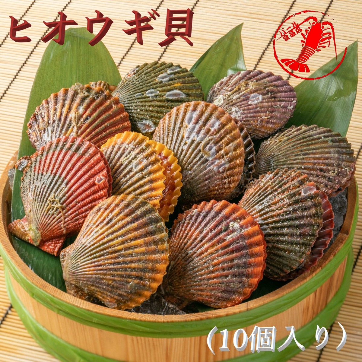 ヒオウギ貝 10個 アッパ貝 バタ貝 虹色貝 パール食品店