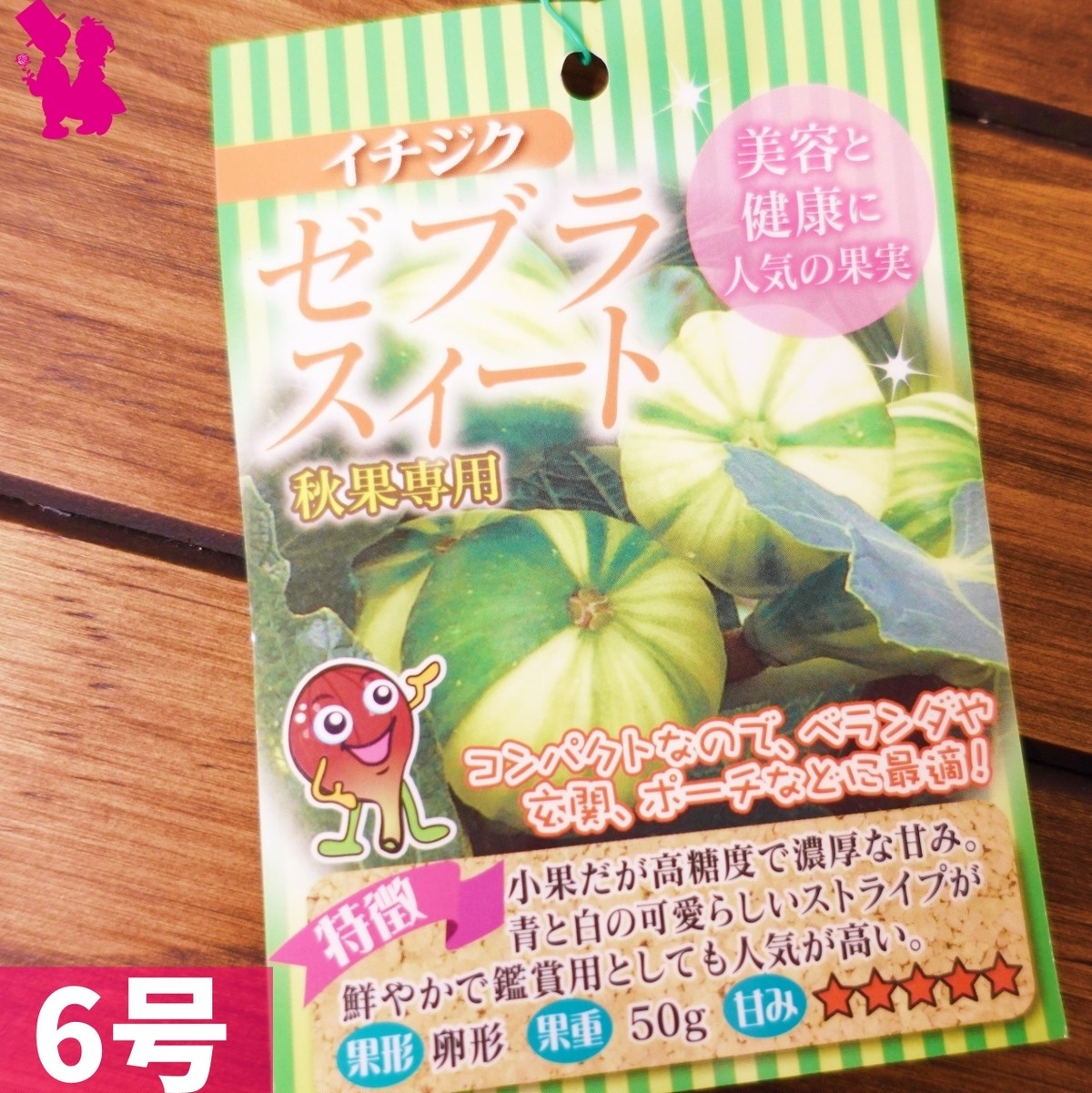 イチジク6号鉢 ゼブラスイート2年生大苗 ラベル付き 園芸農家イシヅキちゃんねるショップ