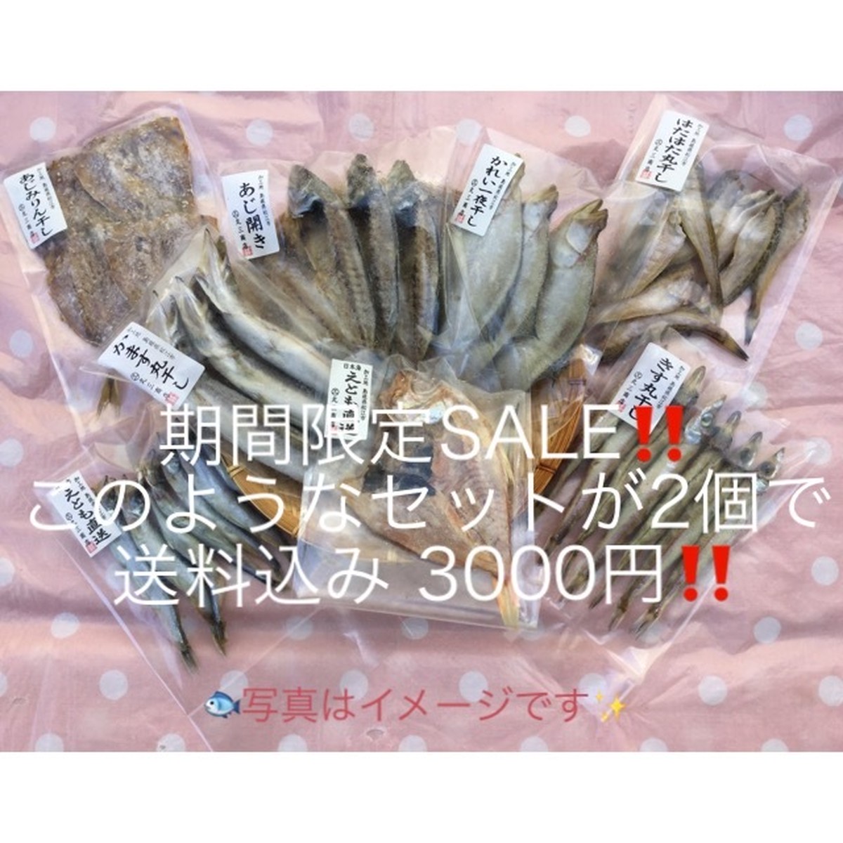 期間限定 干物8種類セ 2セット 16種類 送料込み3500円 3000円 干物の丸三商店