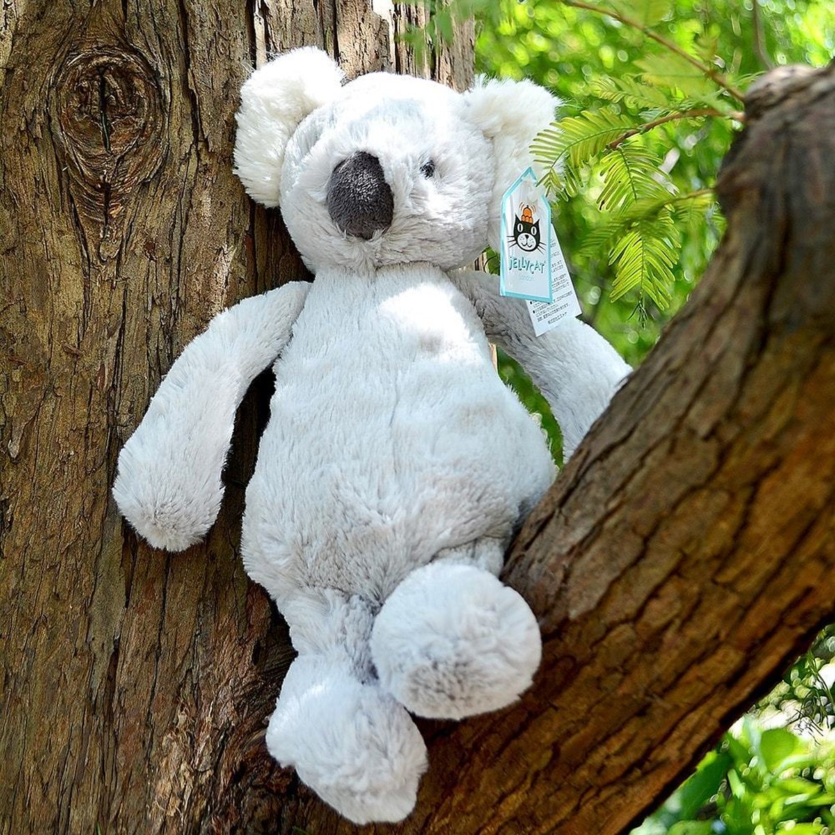 コアラ Jellycat Bashful Koala Medium ジェリーキャット バシュフル コアラ ふわふわ ぬいぐるみ ギフト 癒し こあら プレゼント お祝い 出産祝い 誕生日 最高級 縫いぐるみ ジェリーキャット日本 正規代理店 輸入品 正規品 人気 オーストラリア かわいい