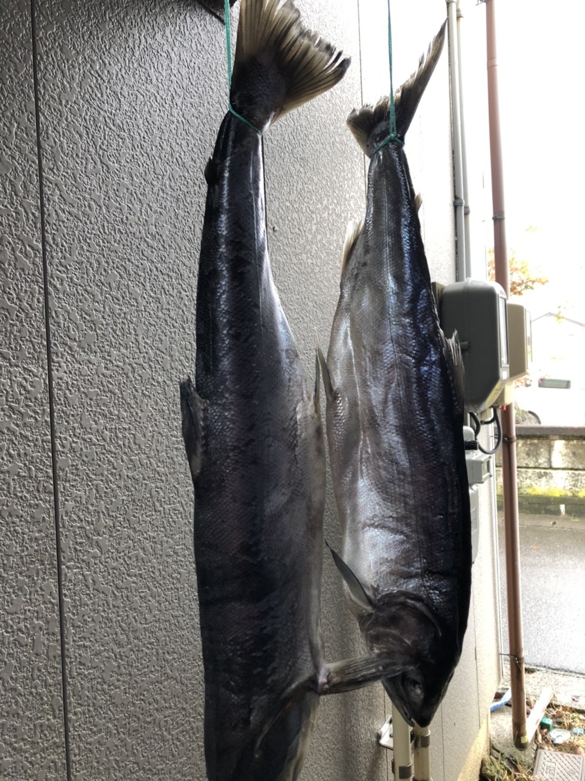 昔ながらの手作り塩引き鮭 小 弥生フーズ