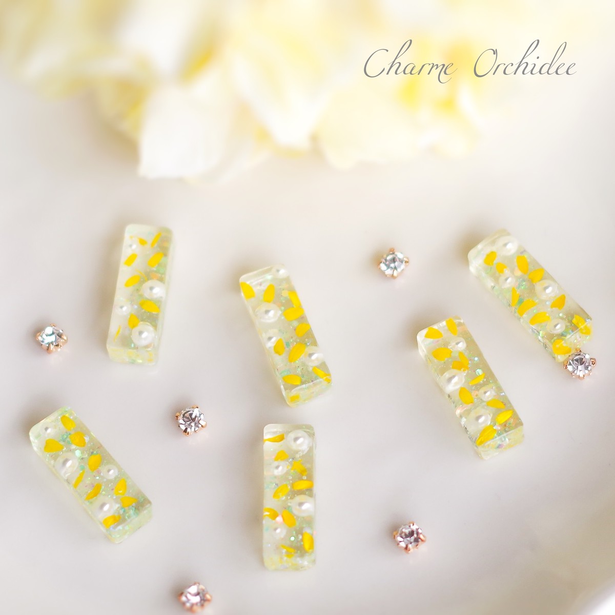 ローダンセの愛 花言葉 変わらぬ想い Charme Orchidee