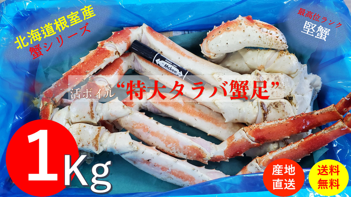 北海道根室産 堅蟹 特大活ボイルタラバ蟹足1kg詰め 送料無料 こだわり市場 北海道根室産 堅蟹 特大活ボイルタラバ蟹足1kg詰め 送料無料 こだわり市場