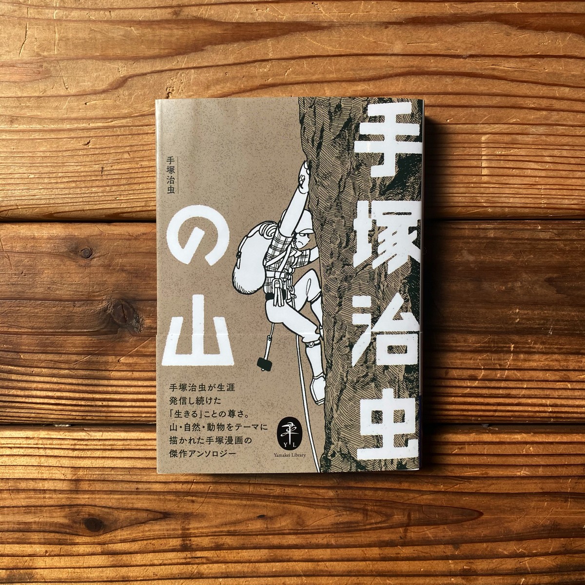 手塚治虫の山 手塚治虫 尾鷲市九鬼町 漁村の本屋 トンガ坂文庫