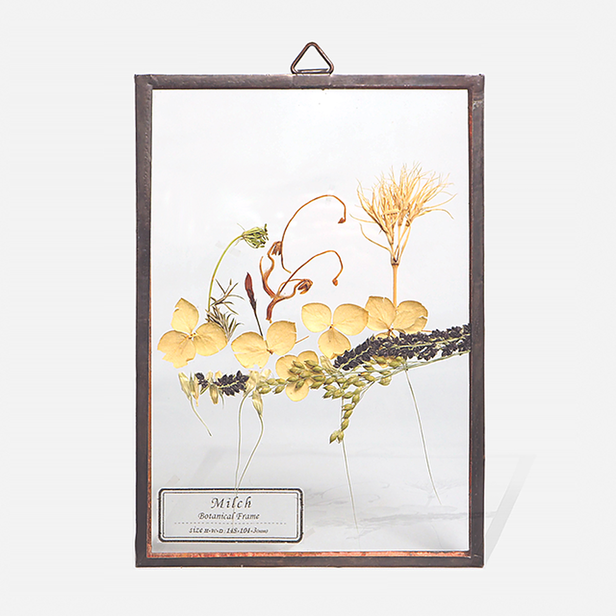 Botanical Frame S09 Copper Milch Inc Llc