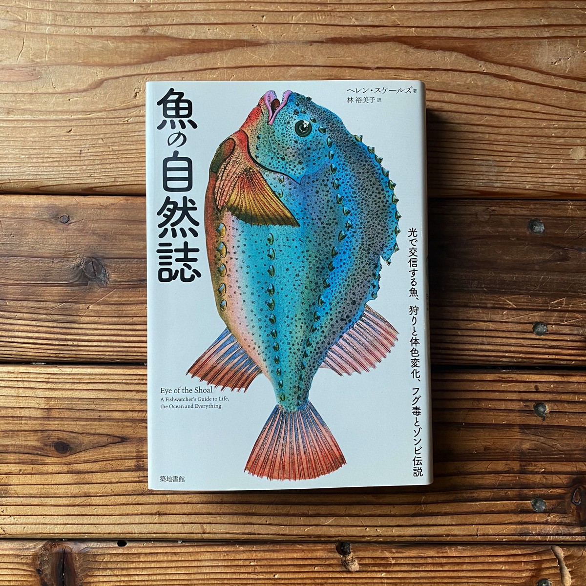 魚の自然誌 光で交信する魚 狩りと体色変化 フグ毒とゾンビ伝説 ヘレン スケールズ 林裕美子 翻訳 尾鷲市九鬼町 漁村の本屋 トンガ坂文庫