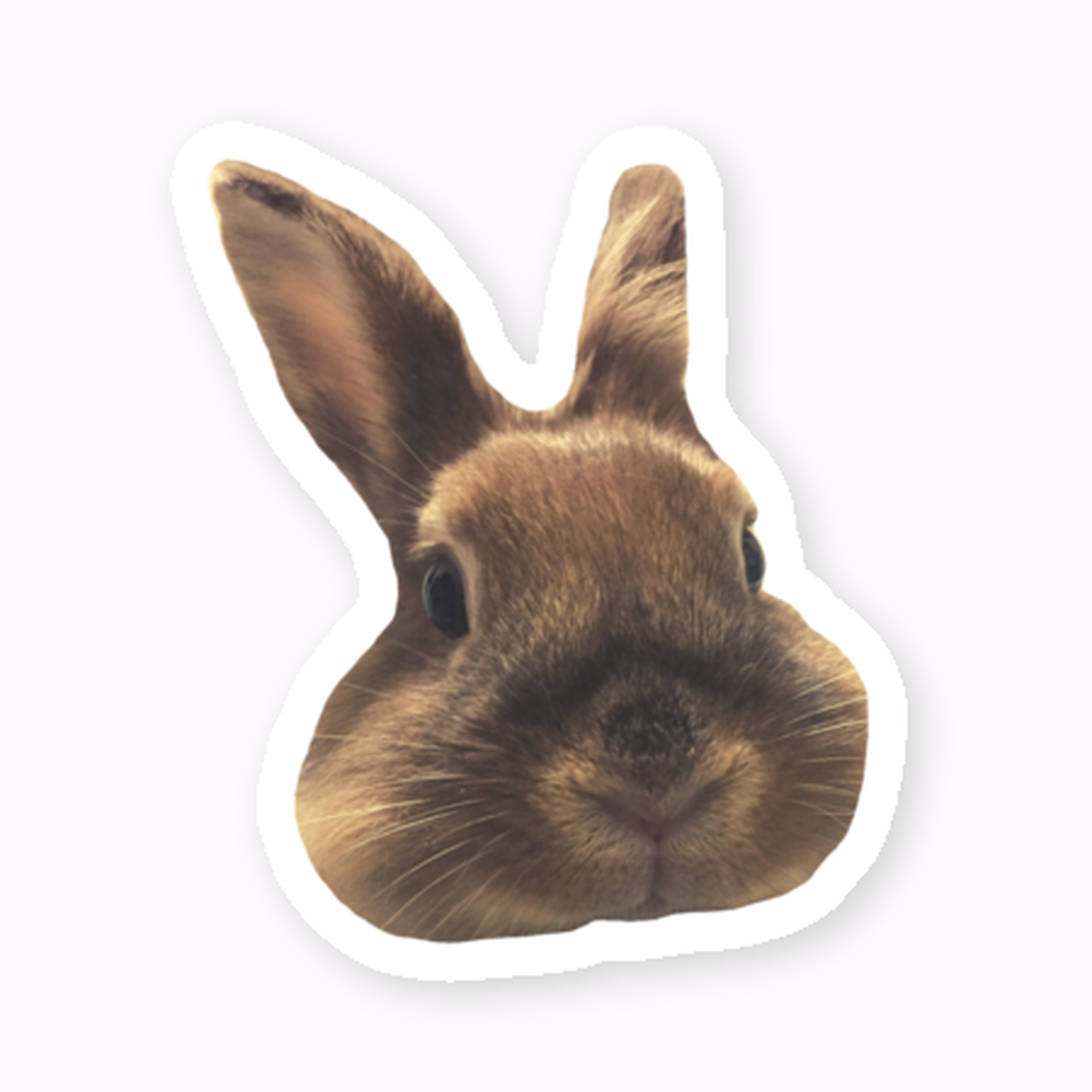 うさぎのステッカー モスクテンデザイン Mosg Design