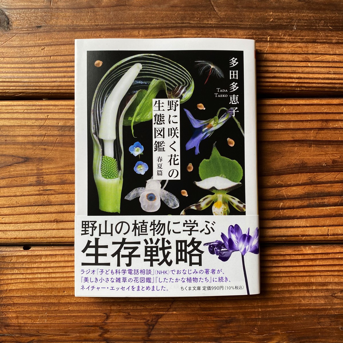 野に咲く花の生態図鑑 春夏篇 多田多恵子 尾鷲市九鬼町 漁村の本屋 トンガ坂文庫