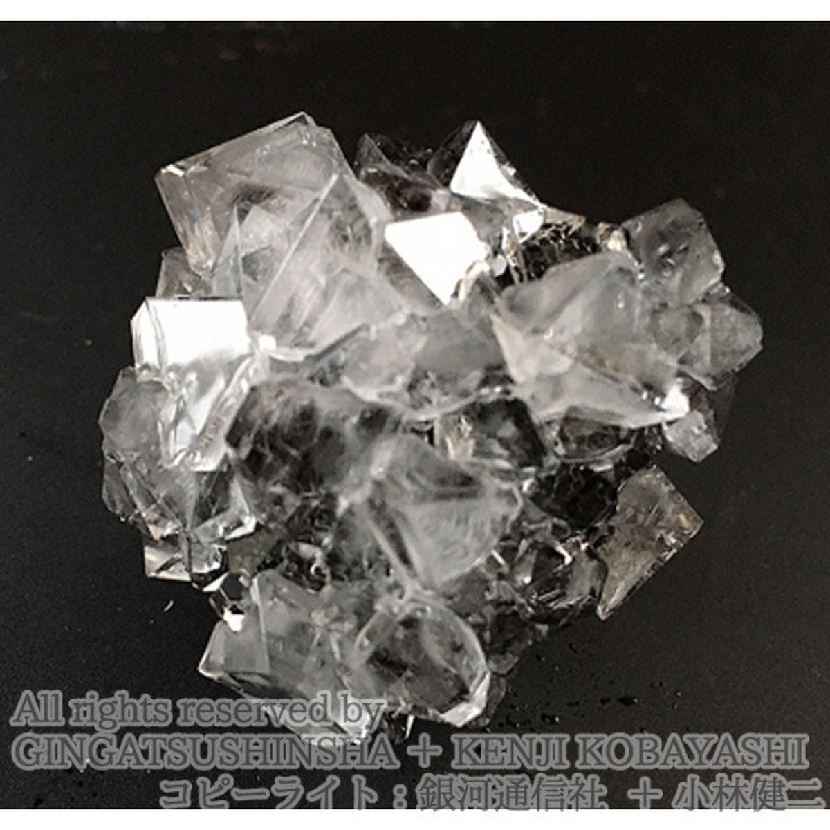 結晶育成キット 透明鉱石育成キット Clearite Kit 銀河通信社 No916 Gin 03 金星灯百貨店オンラインストア アトリエショップ