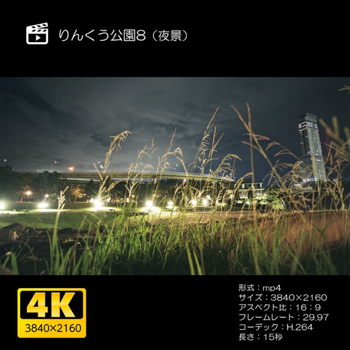 りんくう公園8 夜景 Moives