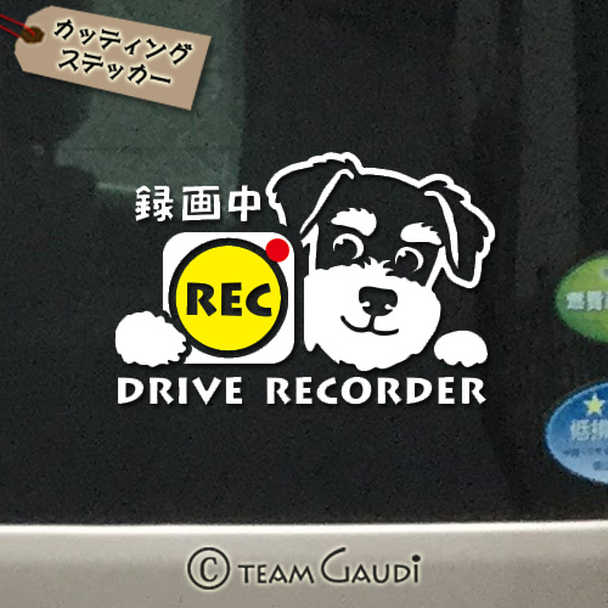 ドラレコ ステッカー ミニチュアシュナウザー デザインa ステッカー 犬 ミックス犬 ドライブレコーダー録画中 煽り運転防止 シール 工房 Team Gaudi