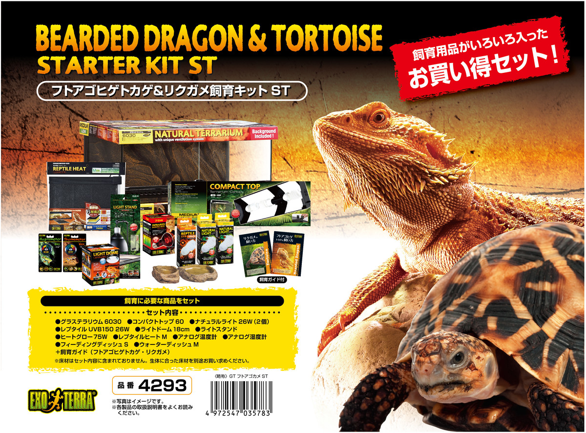 フトアゴヒゲトカゲ リクガメ飼育キット アカシックレコーディングス株式会社