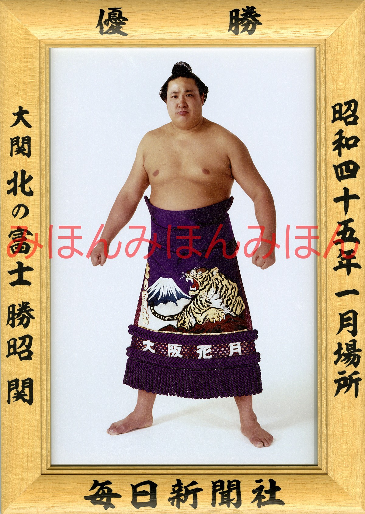 千代の富士 大相撲優勝額 ミニチュア版 平成元年三月場所 人気急上昇