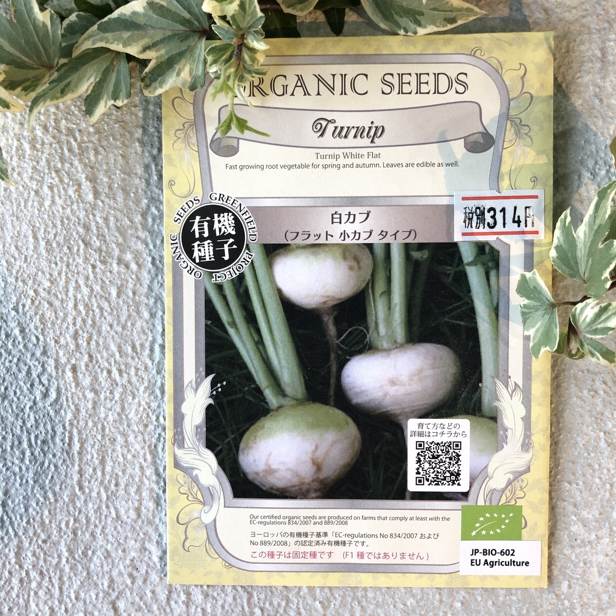 白カブ 小カブ Organic Seeds 有機種子 固定種 橋本種苗園