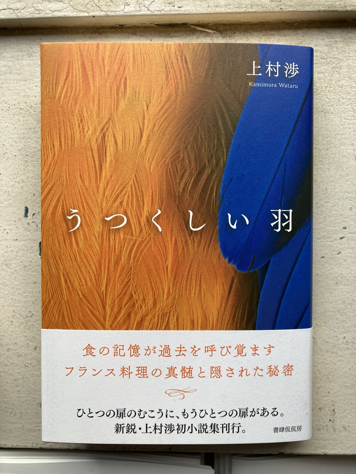 うつくしい羽 上村渉 百年 Old New Select Bookshop 百年