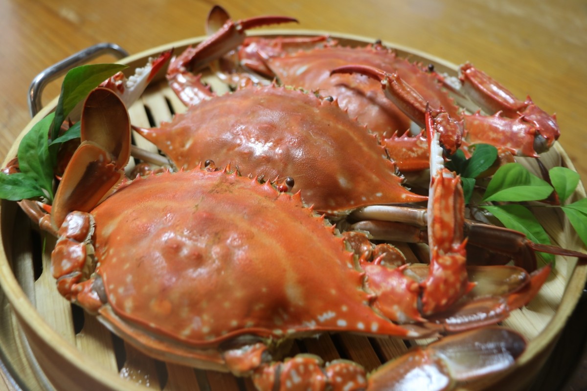 漁師直送 竹崎カニ 小5匹 宗徳丸