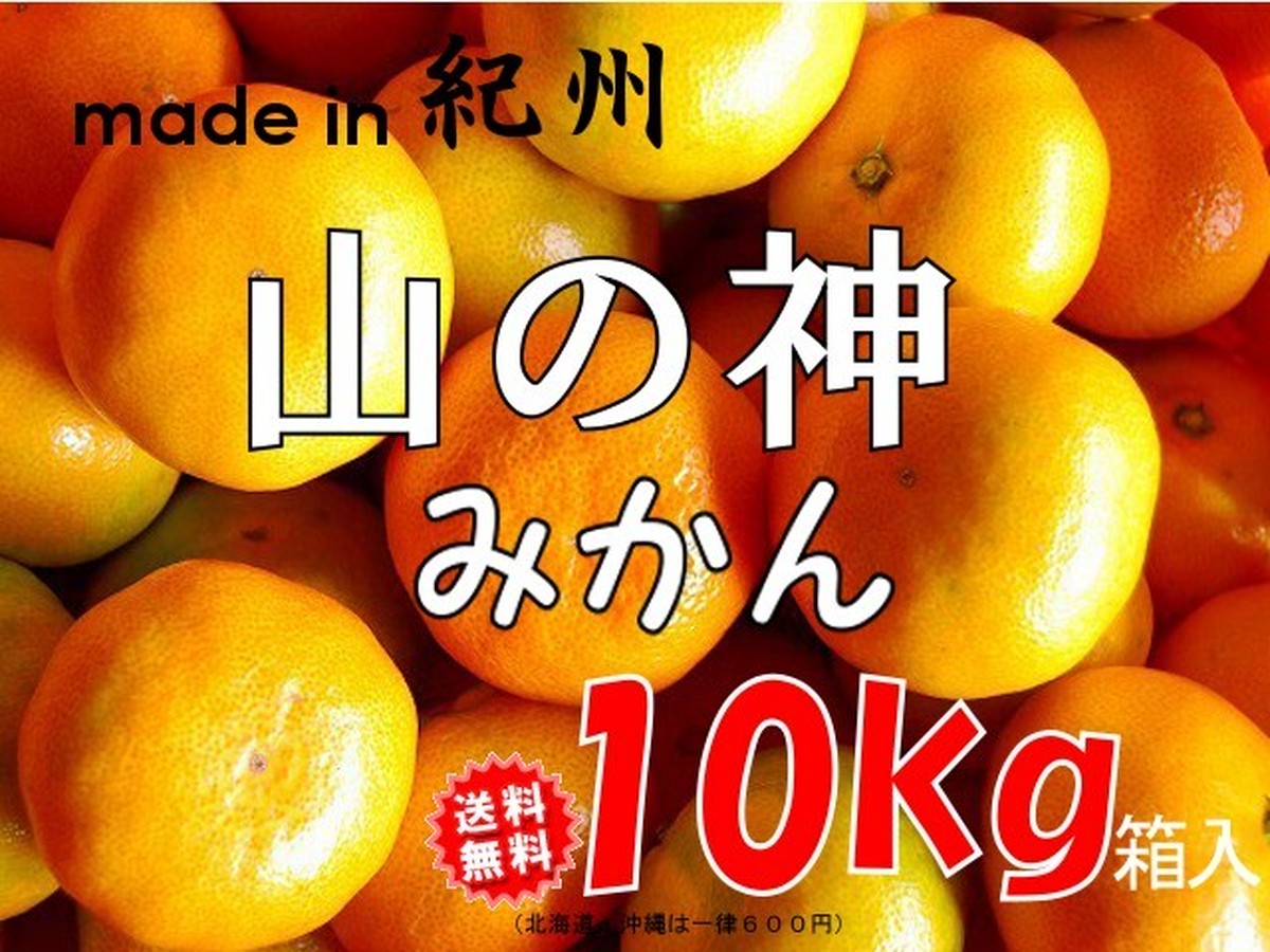 和歌山県産 山の神みかん １０kg箱入 農家の産直ショップ シグファーム