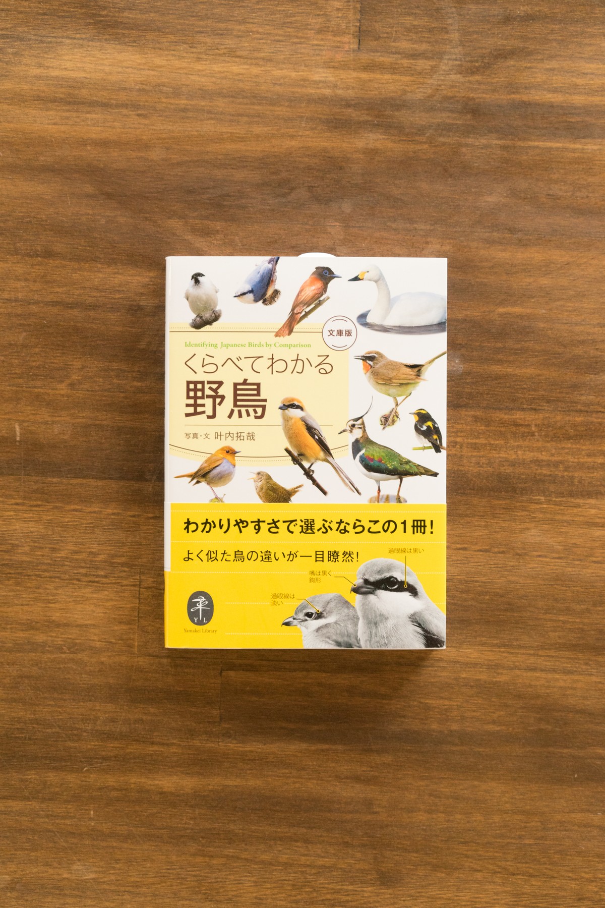 くらべてわかる野鳥 文庫版 叶内 拓哉 写真 文 Outdoorrelax