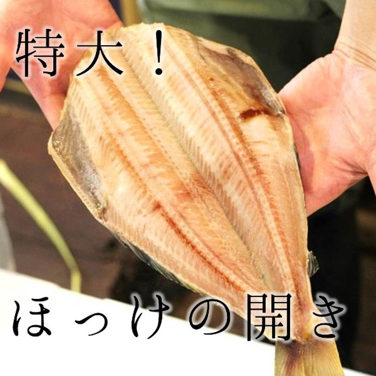 ほっけ 開き 干物 特大サイズ 1枚 約500g 特大ホッケ 冷凍 Okawari 豊洲直送の高級海産物をお届け