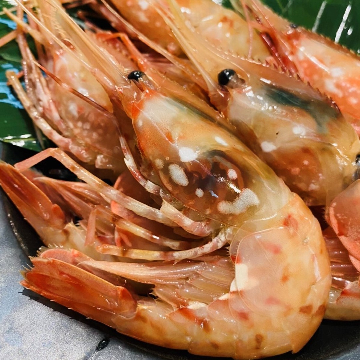 厳選 ボタン海老 生冷 北海道市場