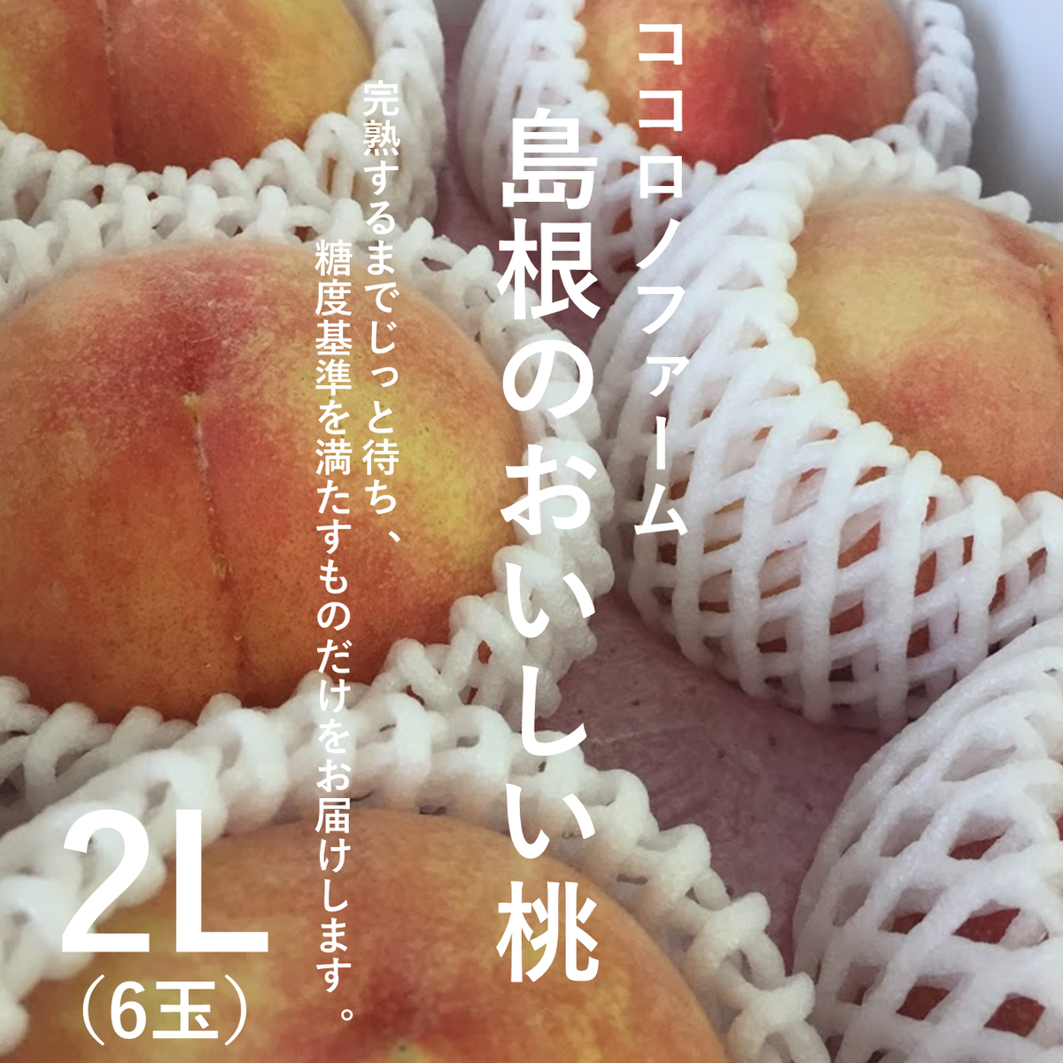 ココロノファーム島根のおいしい桃 完熟収穫 糖度計選別 ハロー