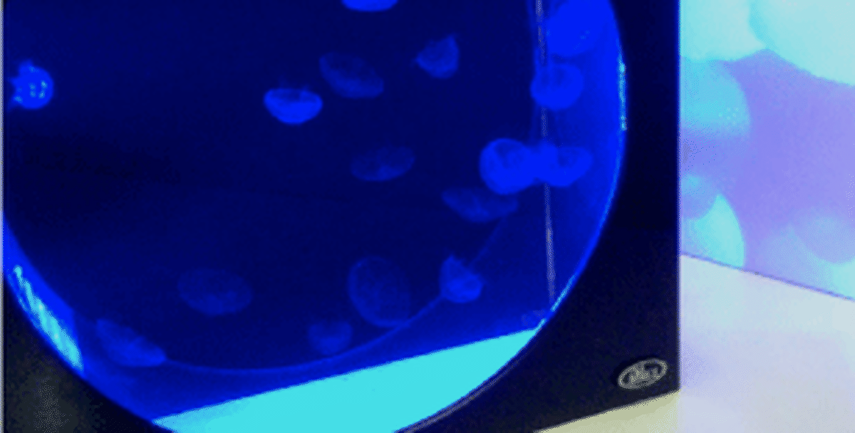 クラゲ専用水槽 海月水影 くらげすいけい バブルパネル