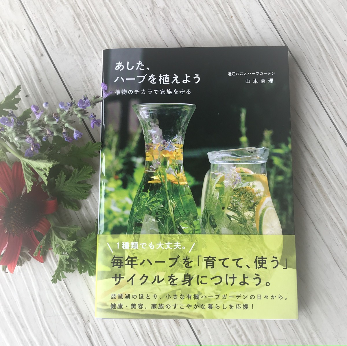 送料無料 植物療法士 山本真理のはじめての著書 あした ハーブを植えよう ー 植物のチカラで家族を守る 近江おごとハーブ ガーデン ナチュラルセレクトショップ