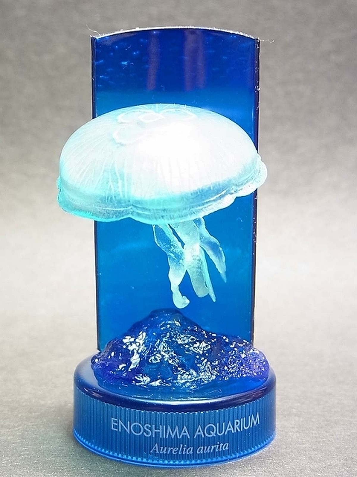 新江ノ島水族館への誘い2 09 ミズクラゲ Toyz Style 新江ノ島水族館への誘い2 09 ミズクラゲ Toyz Style