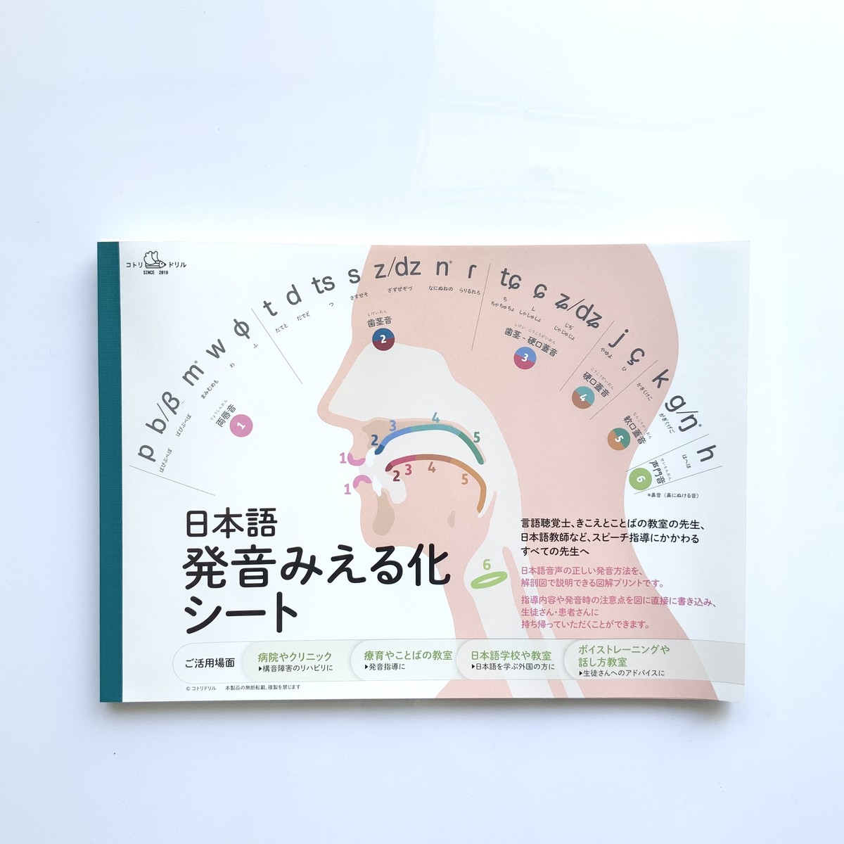 日本語発音みえる化シート コトリドリル 日本語発音みえる化シート コトリドリル