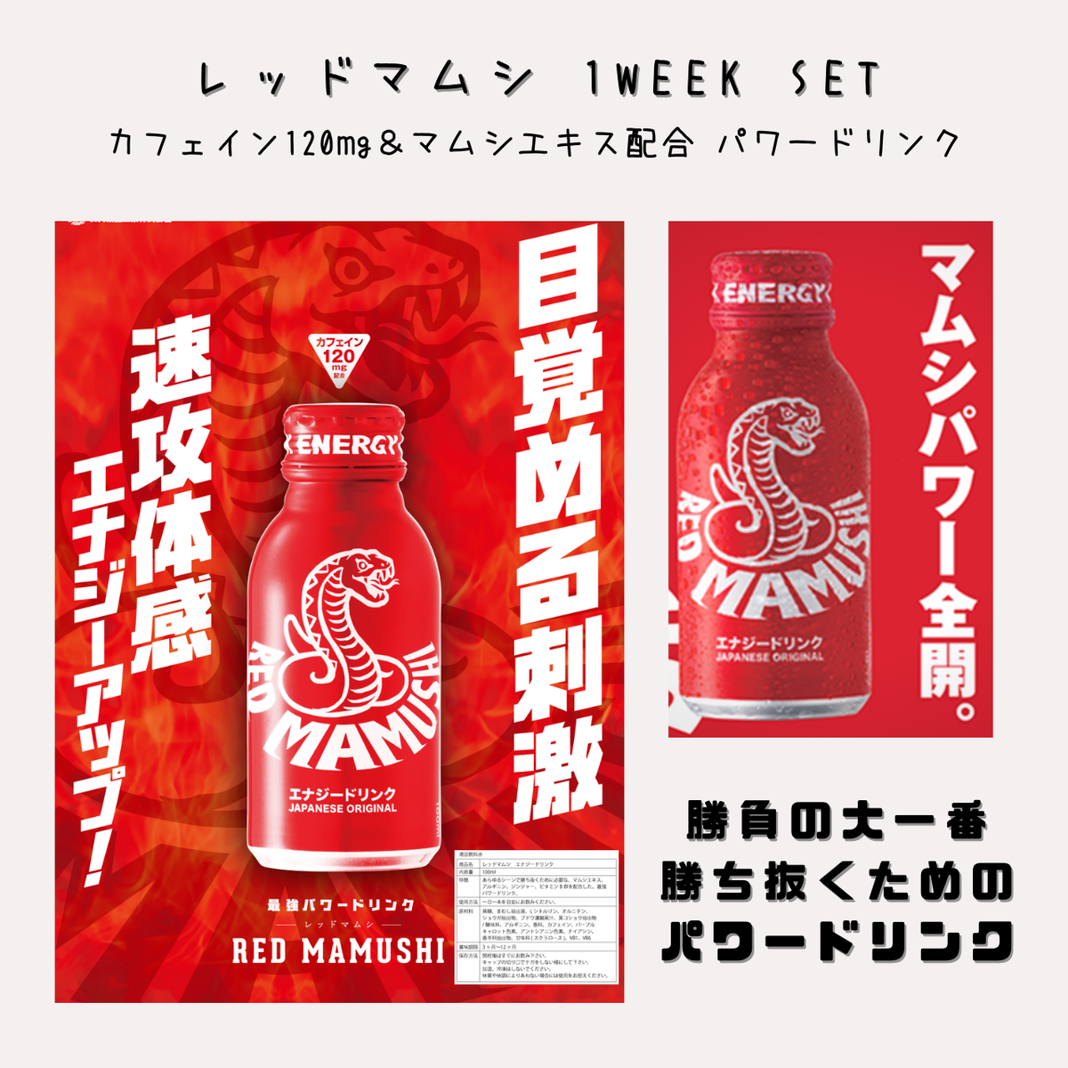 レッドマムシ 1 Week セット はましょっぷ