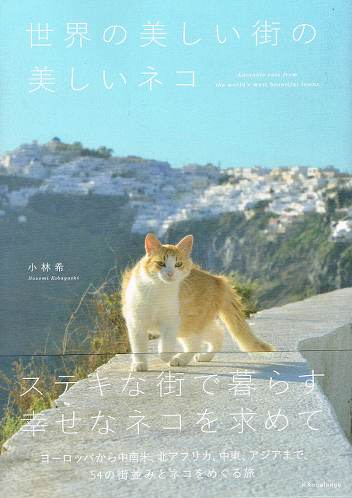 世界の美しい街の美しいネコ 帯付き 猫本サロン 京都三条サクラヤ