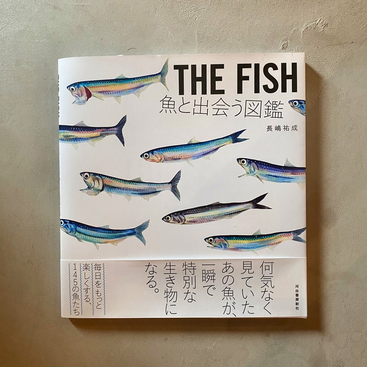 The Fish 魚と出会う図鑑 長嶋 祐成 尾鷲市九鬼町 漁村の本屋 トンガ坂文庫