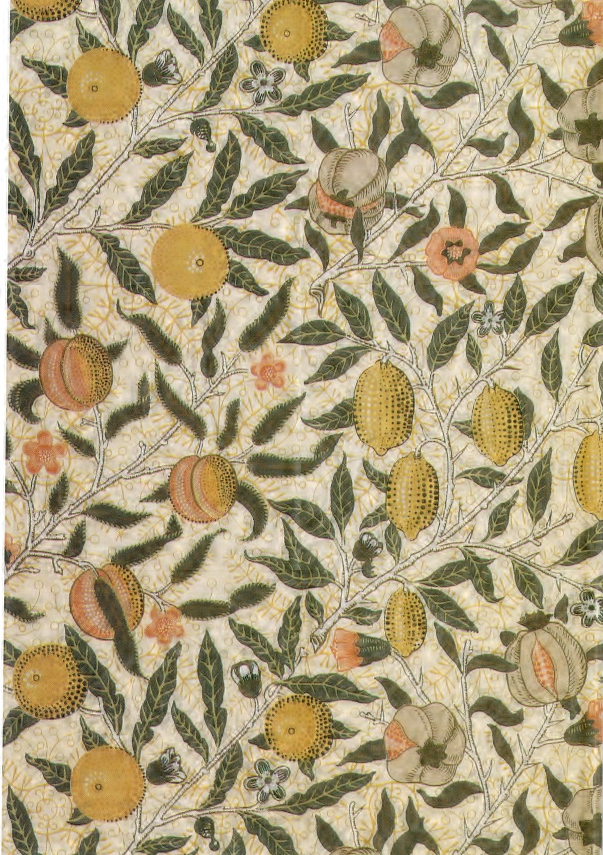 ウィリアム モリス 壁紙 ポストカード 絵葉書 果物 あるいは 無花果 Postcard Of William Morris Fruit Or Pomgranade Art In Life