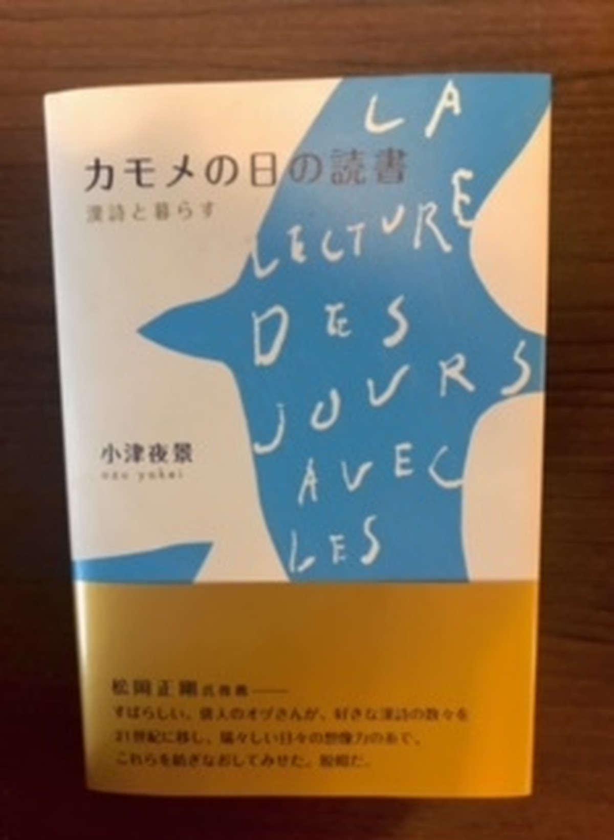 新刊 カモメの日の読書 漢詩と暮らす 小鳥書房