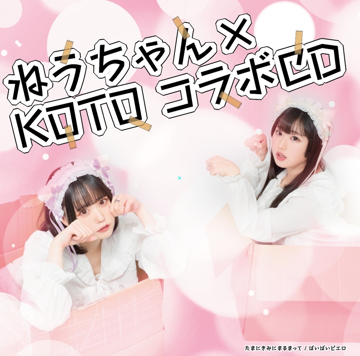 ねうちゃん生誕企画 ねうちゃん Koto コラボcd Xidea Online Shop