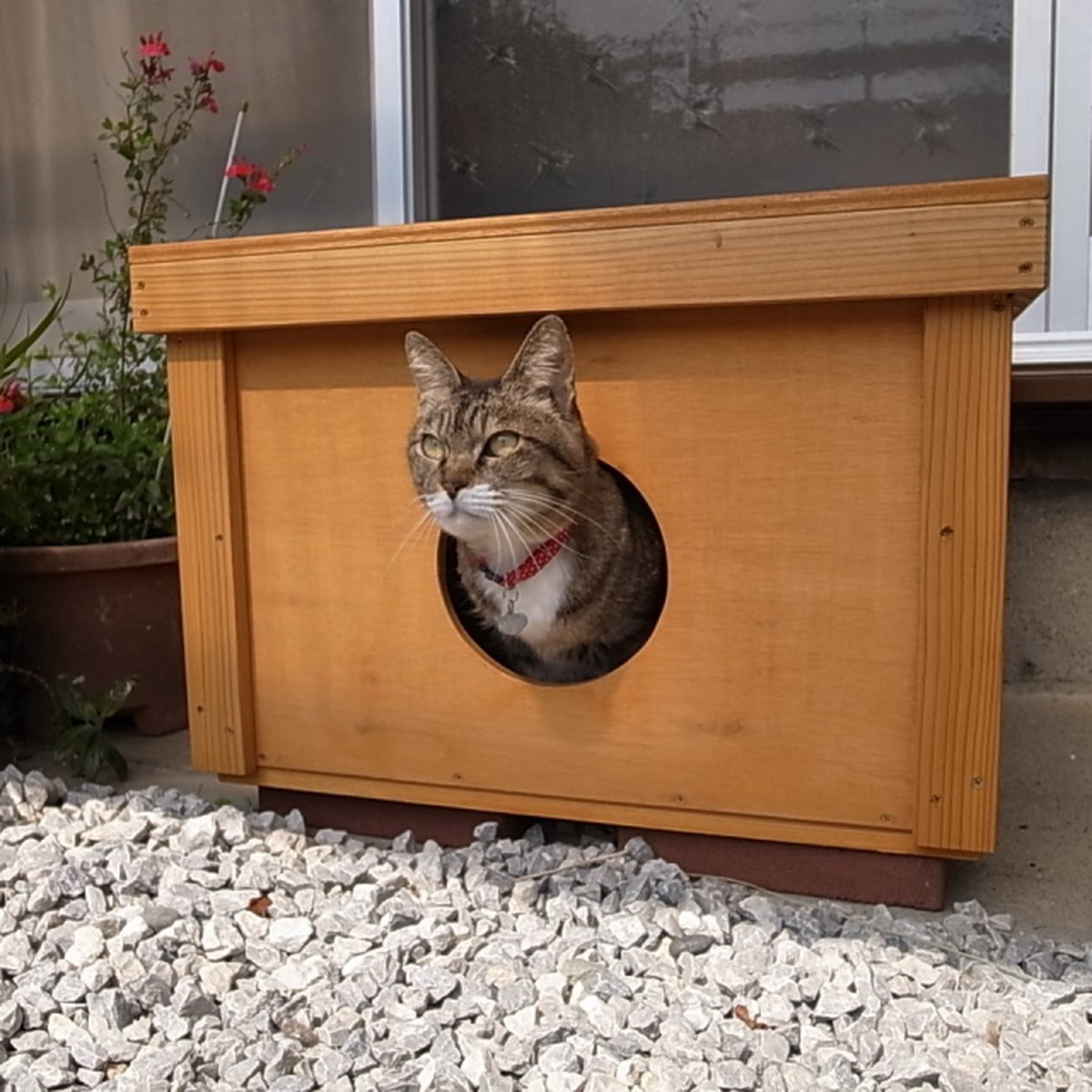 外猫用のおうち 犬小屋と猫小屋のお店