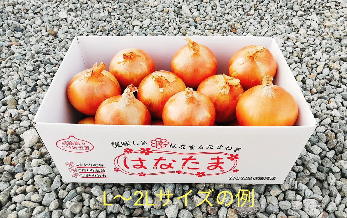 送料無料 美味しさはなまる玉葱 はなたま 5kg たまねぎ タマネギ 玉ねぎ 花ひろば 淡路島