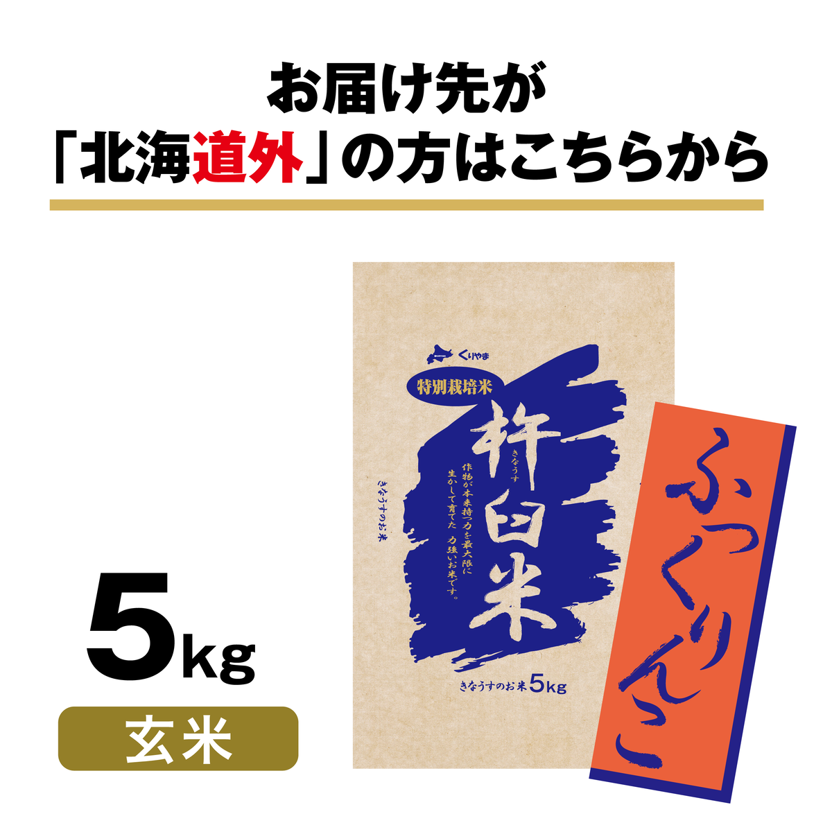 特別栽培米 北海道きなうすファーム ふっくりんこ 5kg 玄米 北海道栗山町きなうすファーム通販サイト