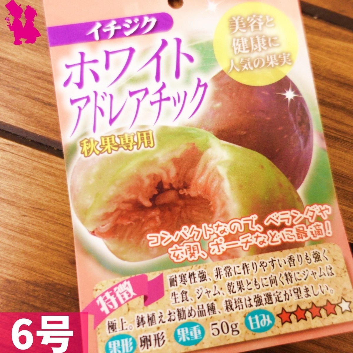 イチジク6号鉢 ホワイトアドレアチック2年生大苗 ラベル付き 園芸農家イシヅキちゃんねるショップ