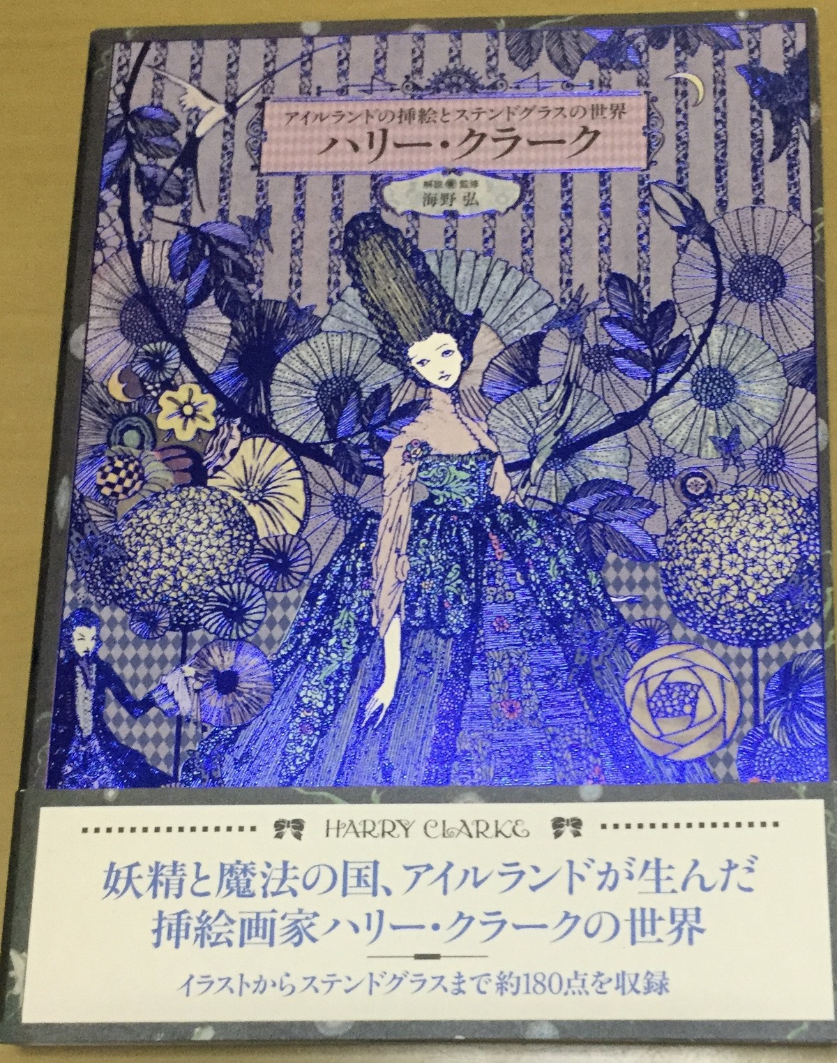 アイルランドの挿絵とステンドグラスの世界 ハリー クラーク 絵本 雲龍