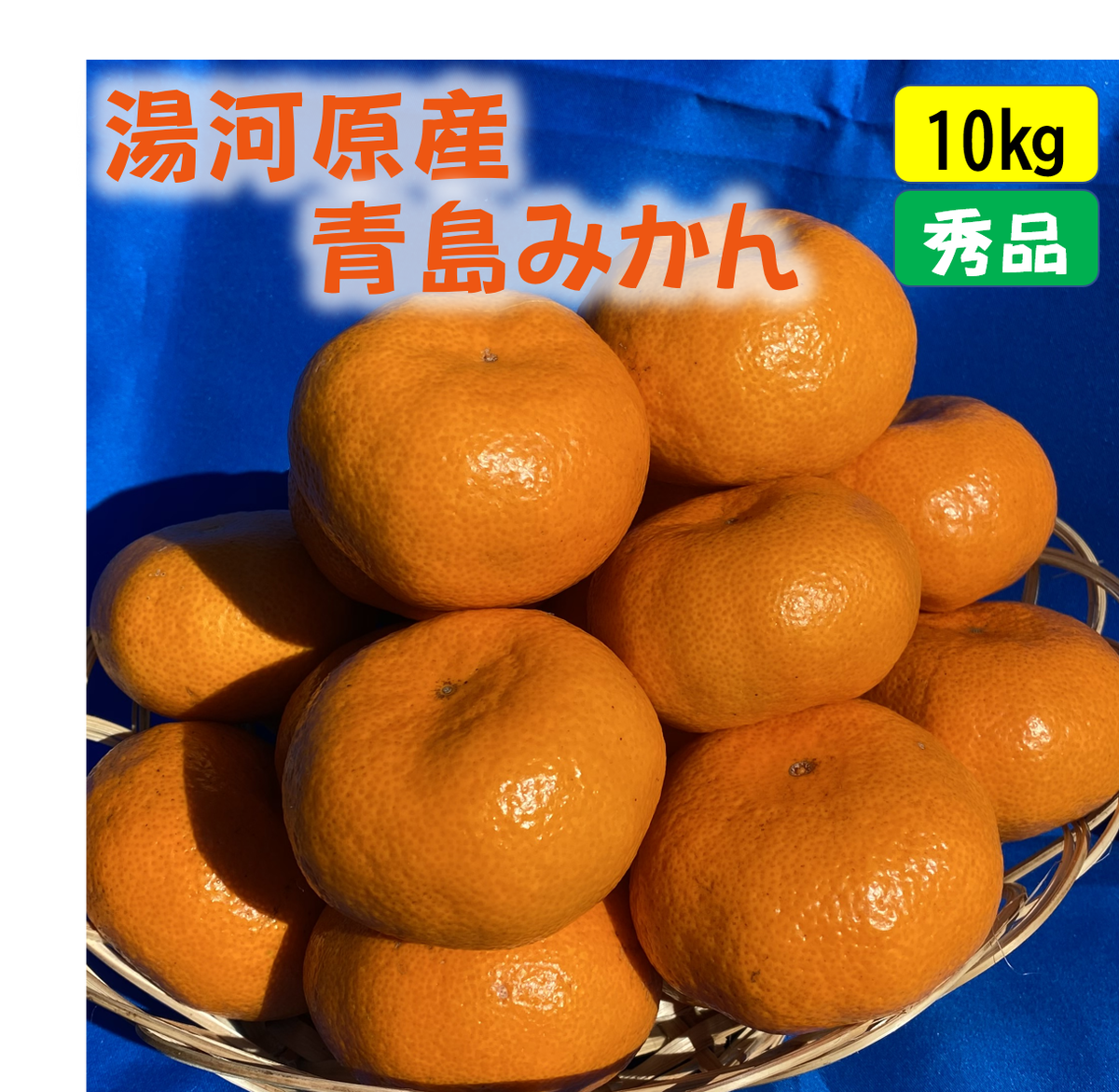 送料無料 青島みかん10ｋｇ 秀品 きまぐれファーム