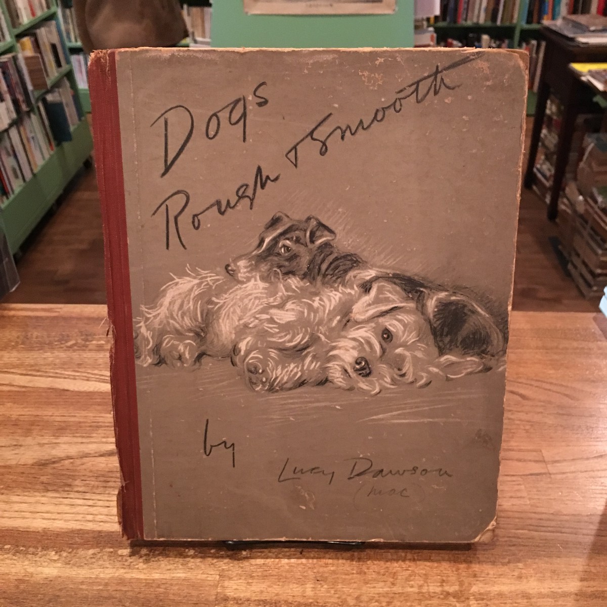 Dogs Rough And Smooth Lucy Dawson ルーシー ドーソン 作 百年 Old New Select Bookshop 百年