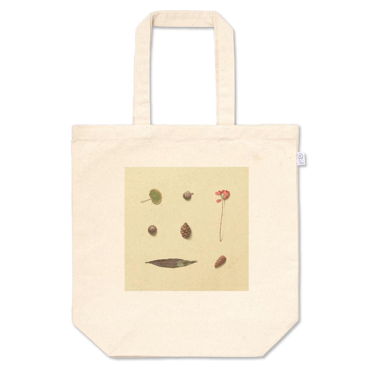 落ち葉と木の実のイラストのトートバッグ Mサイズ 絵描きのraddieyのお店