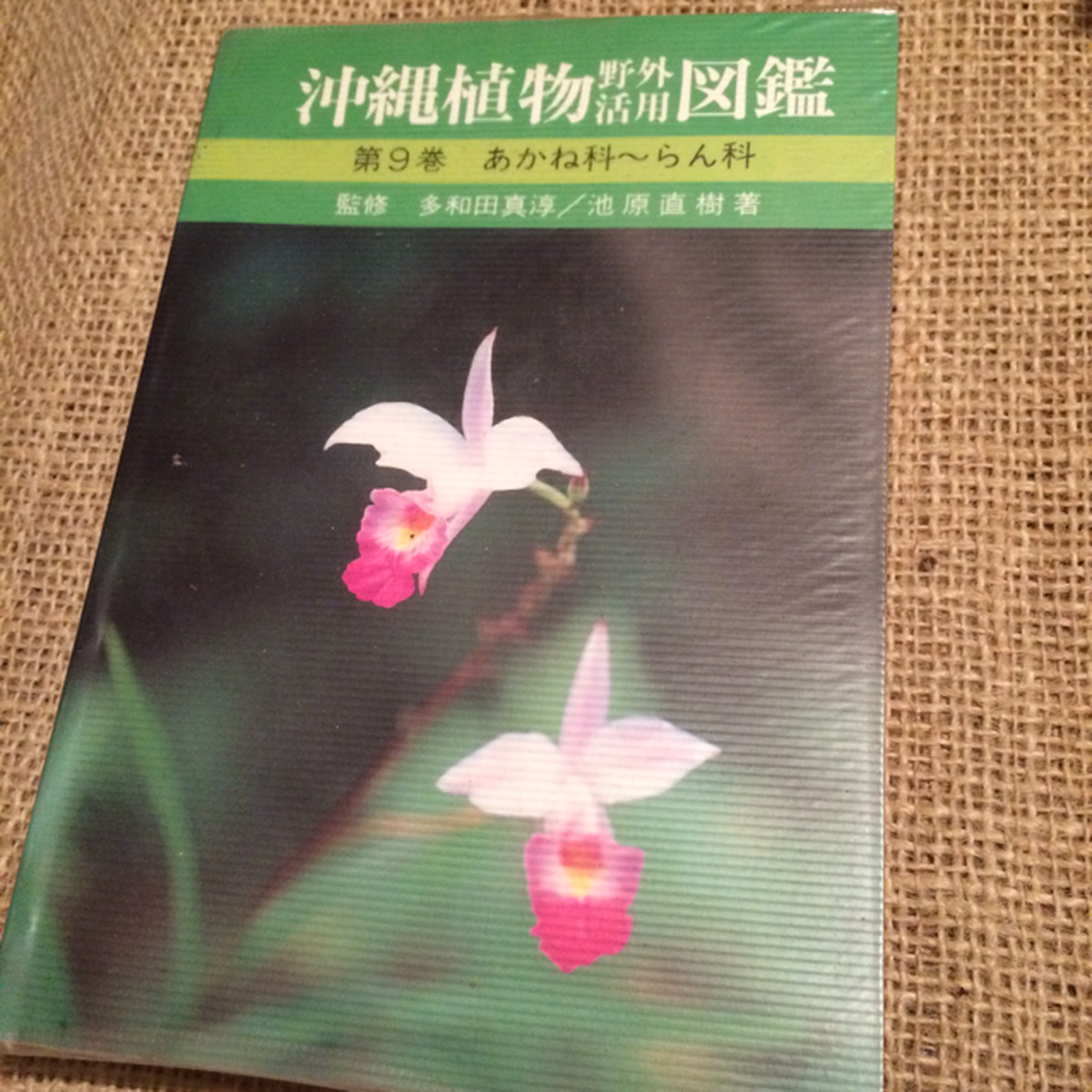 古書 絶版 沖縄植物野外活用図鑑 第9巻 あかね科 らん科 池原直樹 Akubishobo 西表島