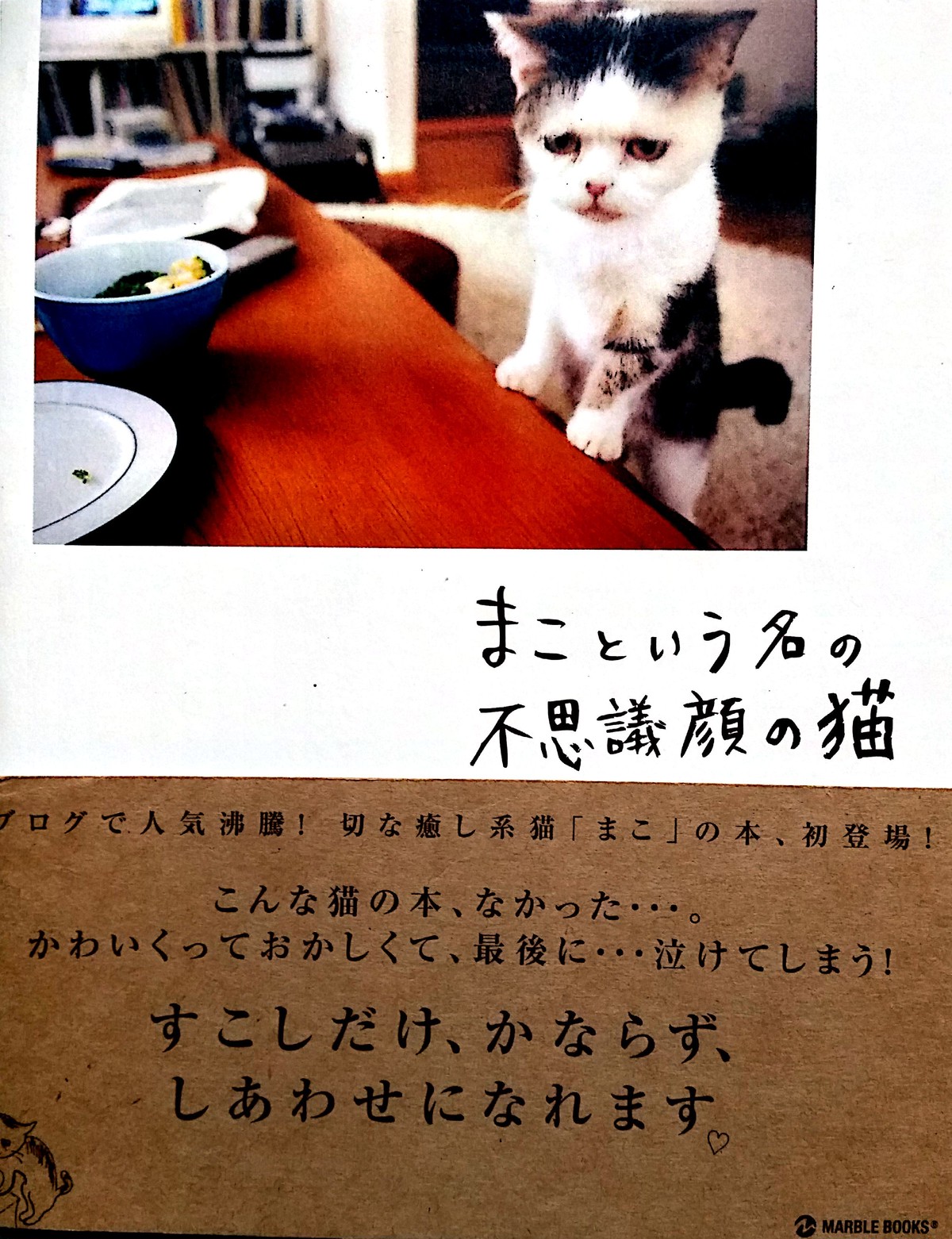 印刷可能 まこ 猫 死因 2790 まこ 猫 死因