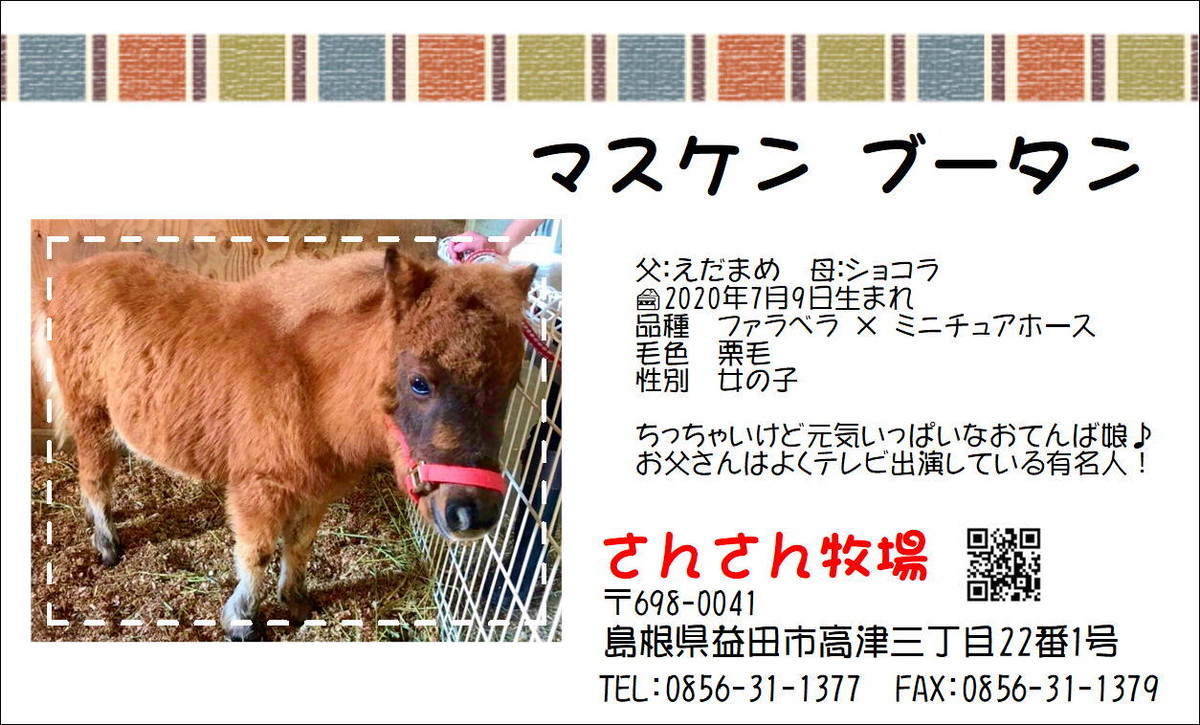 名刺風プロフィールカード マスケンブータン Sansanfarm