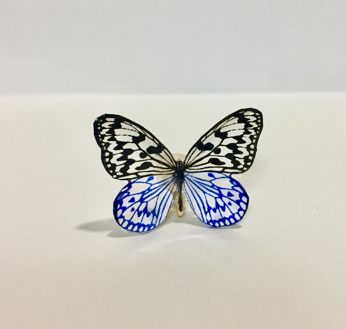 オオゴマダラ ピアス The Study Room