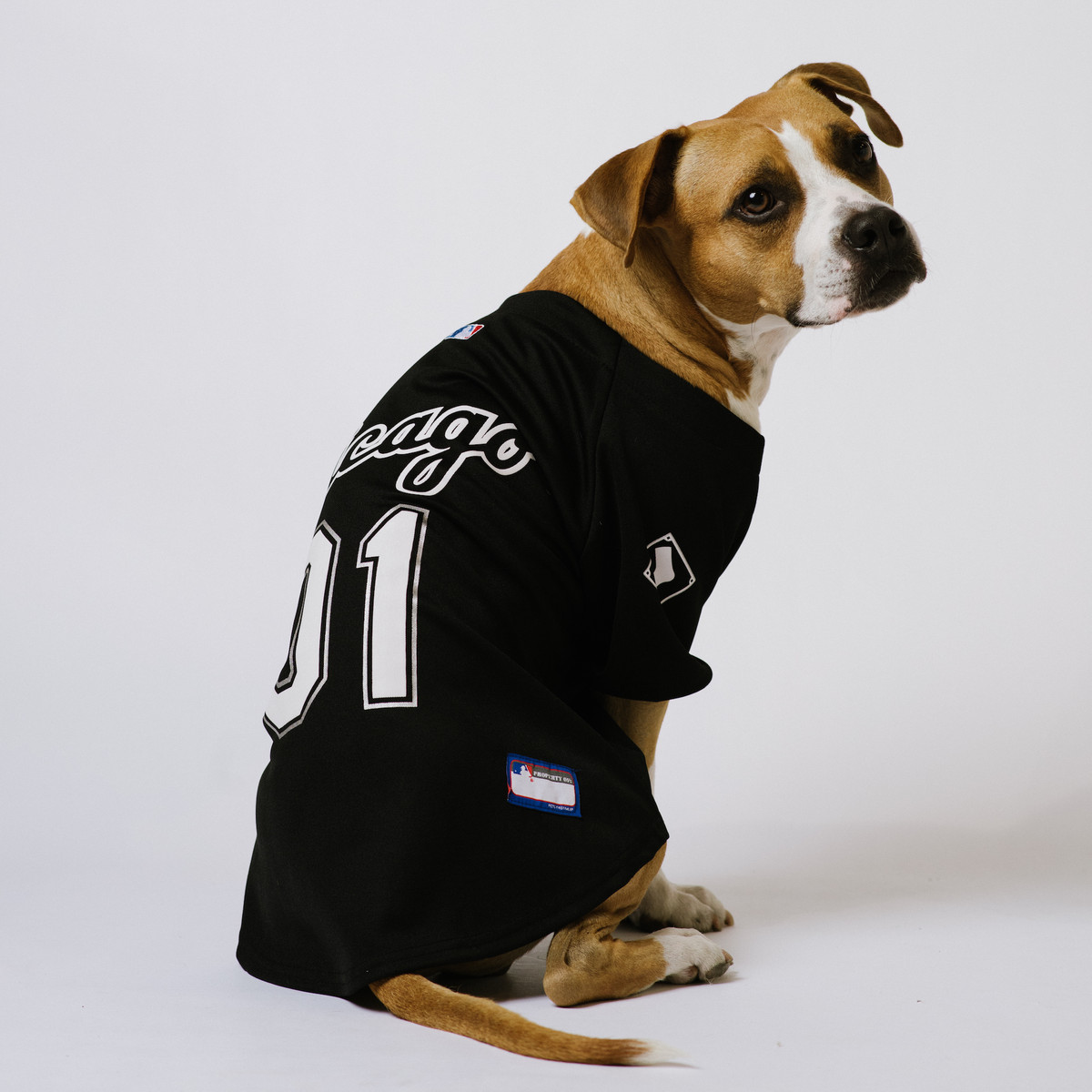 Mlbオフィシャル犬用ユニフォーム Chicago White Sox Xs Lサイズ Doggy Bro Onlineshop