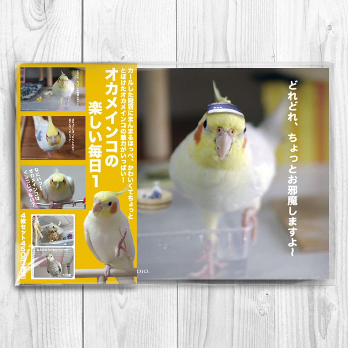 オカメインコの楽しい毎日１ ポストカード4枚セット Tomoyamashita Design